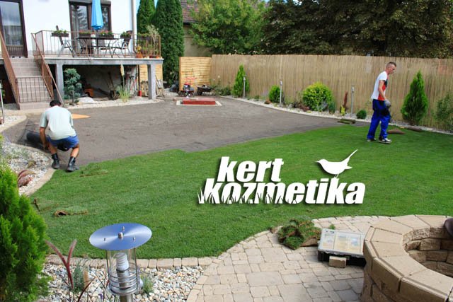 Gyepszőnyegezés – Gödöllő
