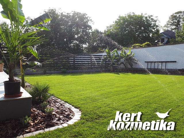 Kertépítés Ómátyásföldön – mediterrán jelleg, rendezett gyepfelület