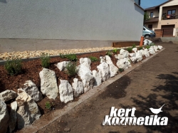 Fűszernövények a sziklakertben (30)