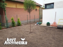 Előkert fűmagos füvesítése (42)