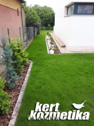 10 cm magas magról vetett fű (47)