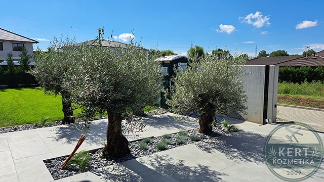 Kertépítés Fóton (Fótliget) – rendezett gyep és ágyásvonalak (referencia)